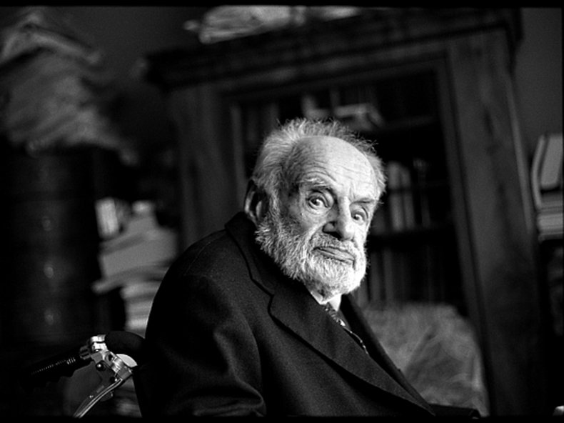 © Sepp Dreissinger: Max Riccabona