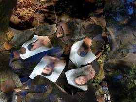 © Charlotte Ducousso und Alice Planes