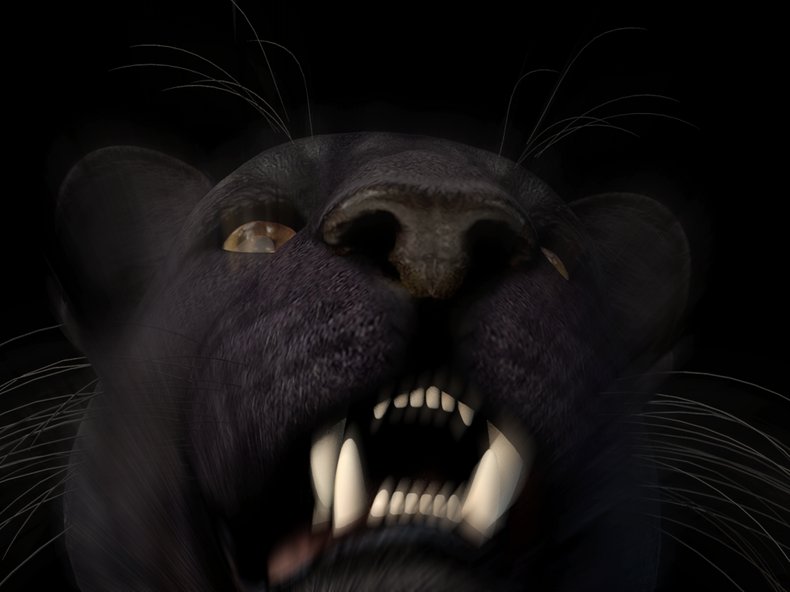 © Schauspielhaus Zürich, "Schwestern"