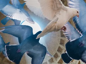 © Wiener Staatsoper