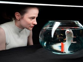 © Verena Bauer