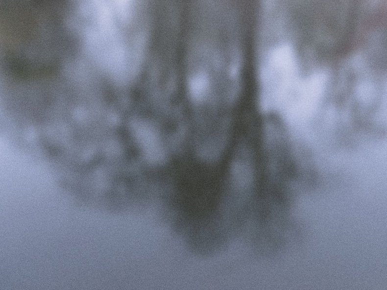 © Chris Linnett, Unsplash