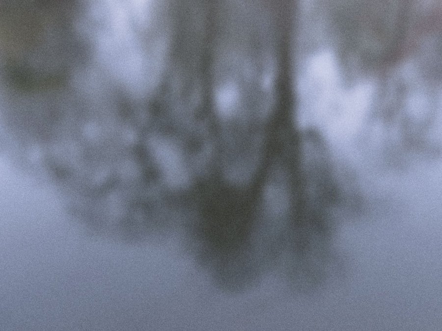 © Chris Linnett, Unsplash