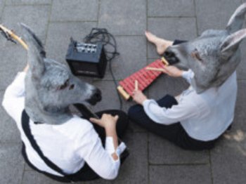 © katze und Krieg